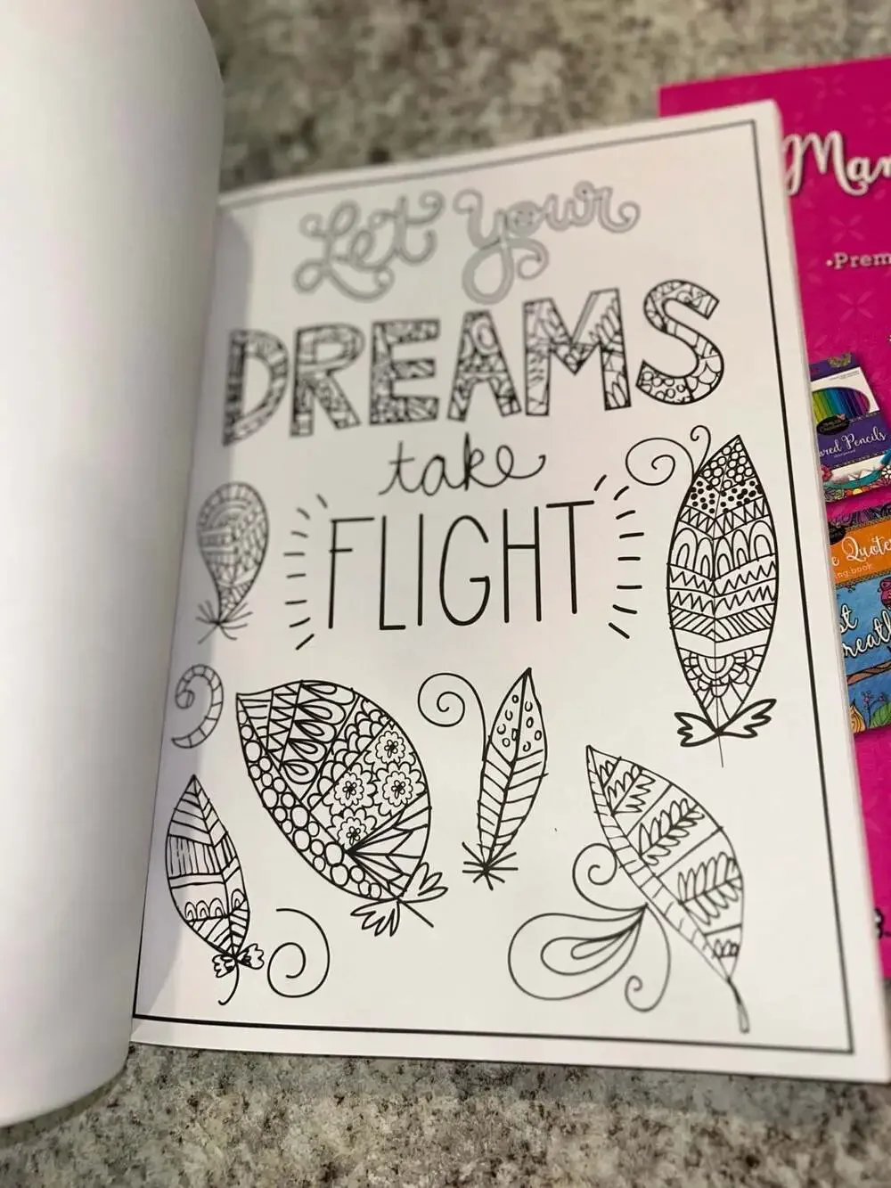 Cra-Z-Art Timeless Creations Creative Quotes and Mandala Designs Adult Coloring